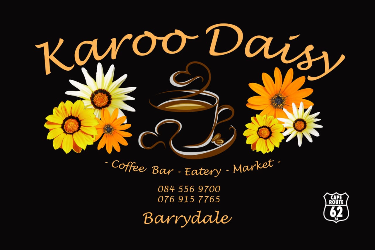 Karoo Daisy